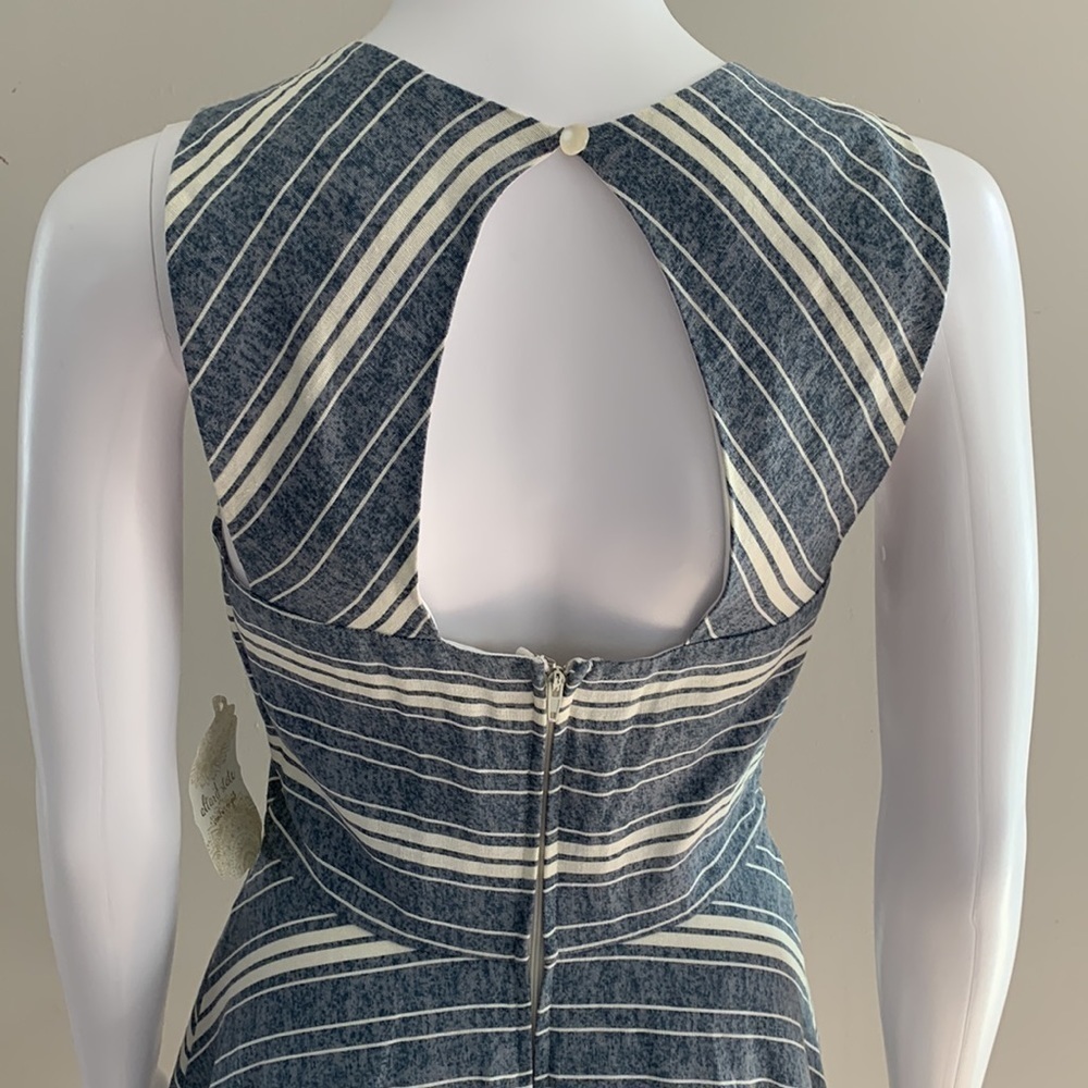 Altar’d State Skater dress New with tags, Size Small, open back area, super cute - Picture 4 of 9
